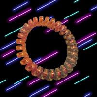 cavigliera multicolor