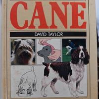 Il tuo cane - David Taylor