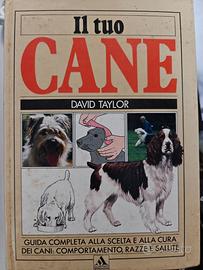 Il tuo cane - David Taylor