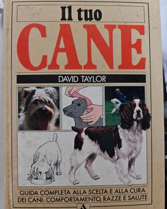 Il tuo cane - David Taylor