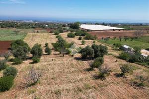 TER. AGRICOLO A POLIGNANO A MARE