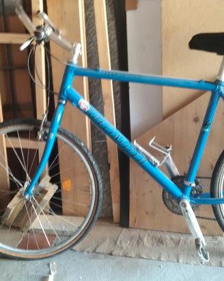 MBK SPECIALIZED