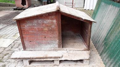 Cuccia grande per cani
