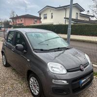FIAT Panda 3ª serie Panda 1.0 FireFly S&S Hybr...