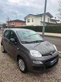 FIAT Panda 3ª serie Panda 1.0 FireFly S&S Hybr...