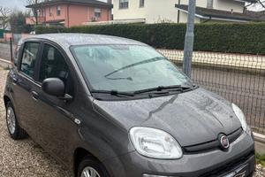 FIAT Panda 3ª serie Panda 1.0 FireFly S&S Hybr...
