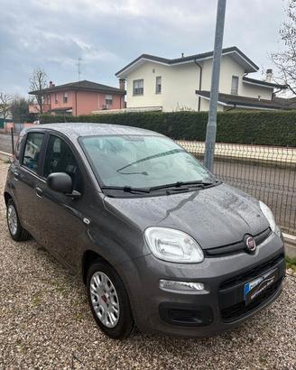 FIAT Panda 3ª serie Panda 1.0 FireFly S&S Hybr...