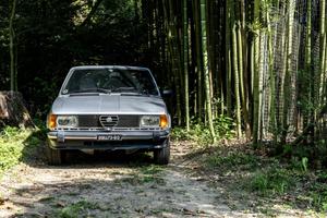 Alfa romeo Giulietta 116 1981