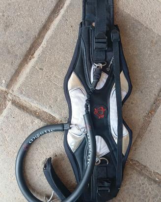 Trapezio  kite
