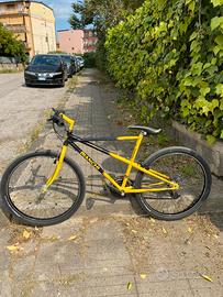 Mountain bike bianchi thomisus ragno