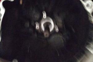 cambio fiat 16 4*4 diesel 