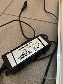 Lampade e neon rettili