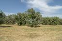ter-residenziale-a-casperia