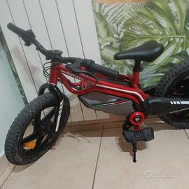 Bicicletta elettrica