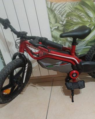 Bicicletta elettrica