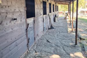 Box per cavalli scuderia
