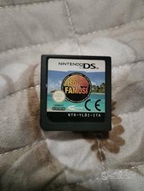 gioco Nintendo ds 