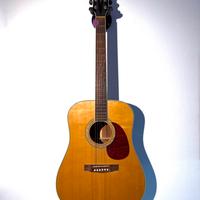 Chitarra Acustica Cort Parkwood PW310