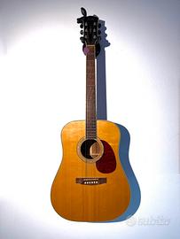 Chitarra Acustica Cort Parkwood PW310