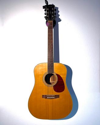 Chitarra Acustica Cort Parkwood PW310