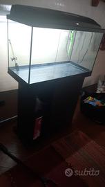 acquario 
