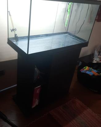 acquario 