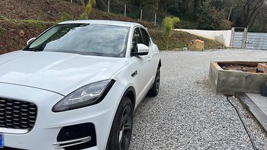 Jaguar e pace