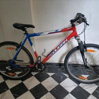 MTB Lee Cougan Outback