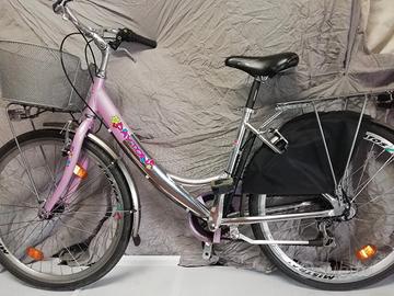 Bicicletta tutta i lega di alluminio