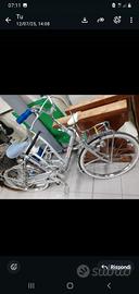 Graziella Girardengo