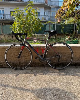 Wilier triestina Montegrappa-ottime condizion