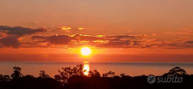 Luglio e agosto 2026