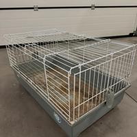 Gabbia per Conigli / Coniglio Nano