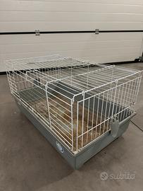 Gabbia per Conigli / Coniglio Nano