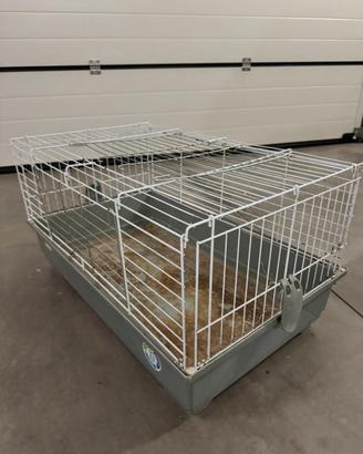 Gabbia per Conigli / Coniglio Nano