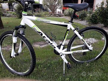 mountanbike  seminuova