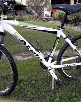 mountanbike  seminuova