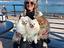 Immagine 4