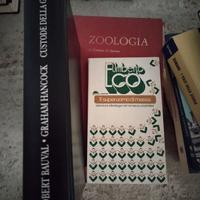 Libri e materiale cartaceo in genere