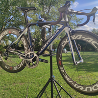 Orbea orca