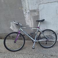 Bicicletta Olimpia Camoscio