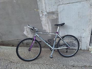 Bicicletta Olimpia Camoscio