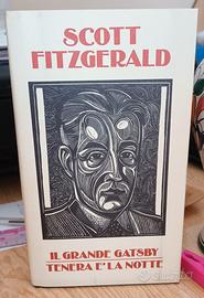 Il grande Gatsby - Tenera è la notte