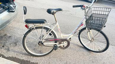 Bicicletta completa di cestino