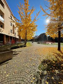 Negozio Gessate [Cod. rif 3271236VCG]