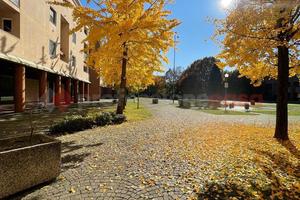 Negozio Gessate [Cod. rif 3271236VCG]