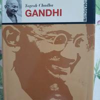 Gandhi Yogesh Chadha