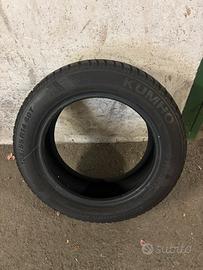 Gomme kumko invernali