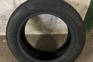 Gomme kumko invernali