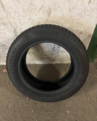 Gomme kumko invernali